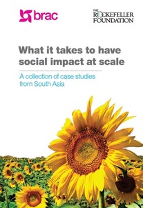 scale-impact