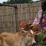 Development that works for indigenous people in Bangladesh